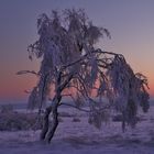 Eisiger Morgen vor Sonnenaufgang