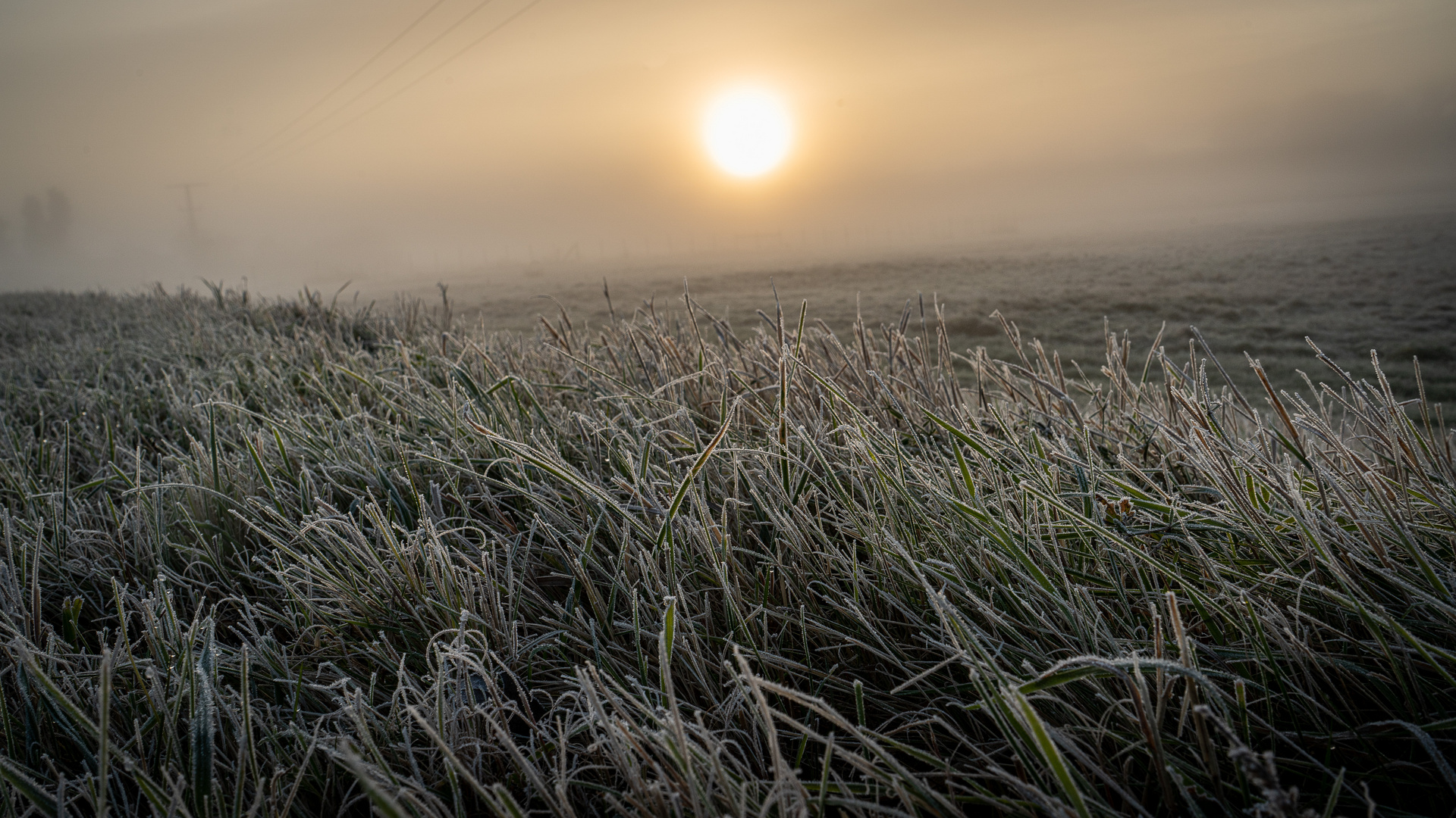 Eisiger Morgendunst