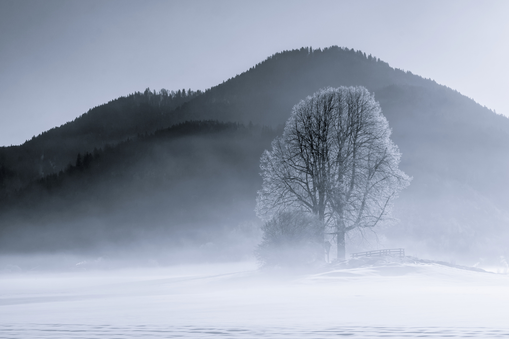 Eisiger Morgennebel ...