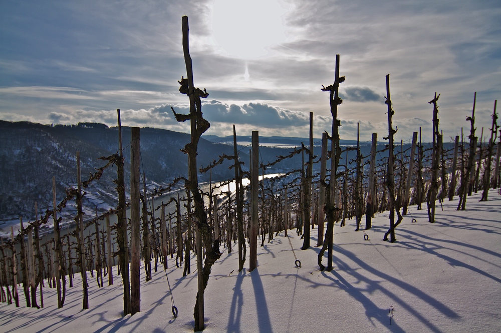 Eisiger Moselblick