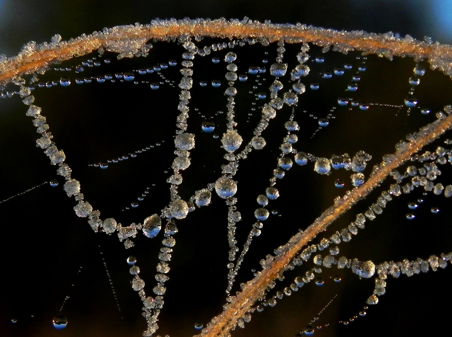 Eisiger Naturschmuck im Spinnennetz