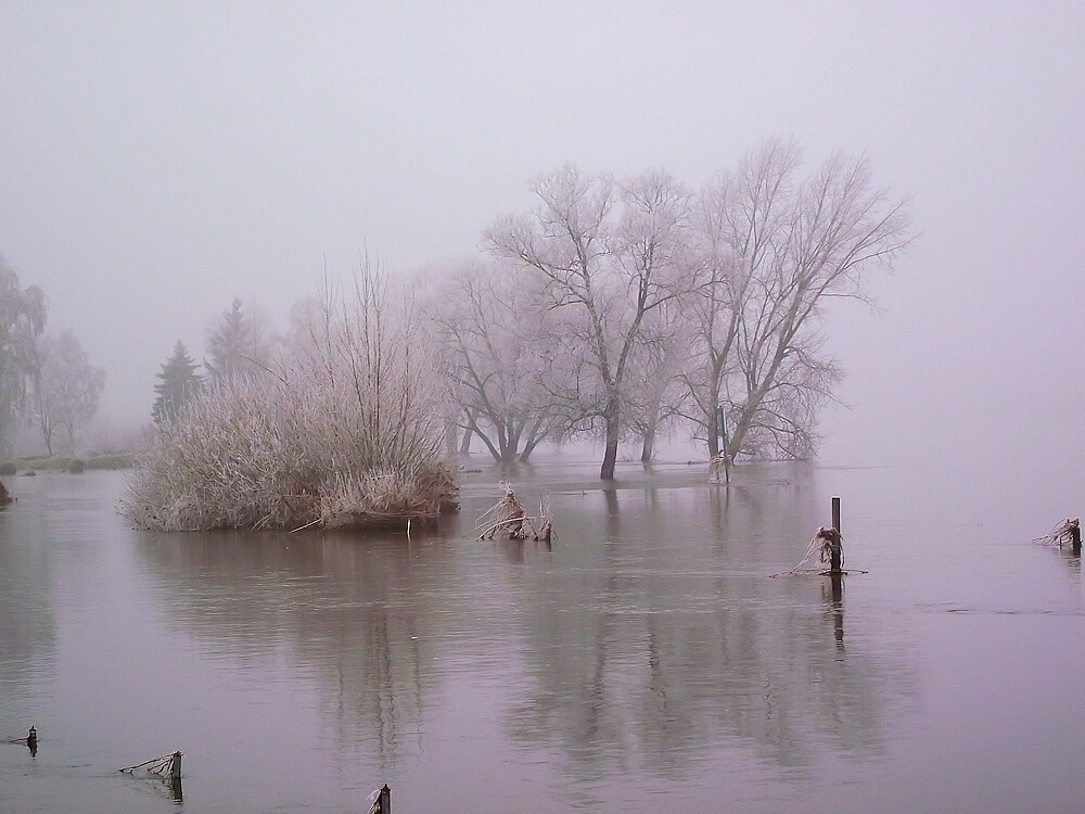 Eisiger Nebel