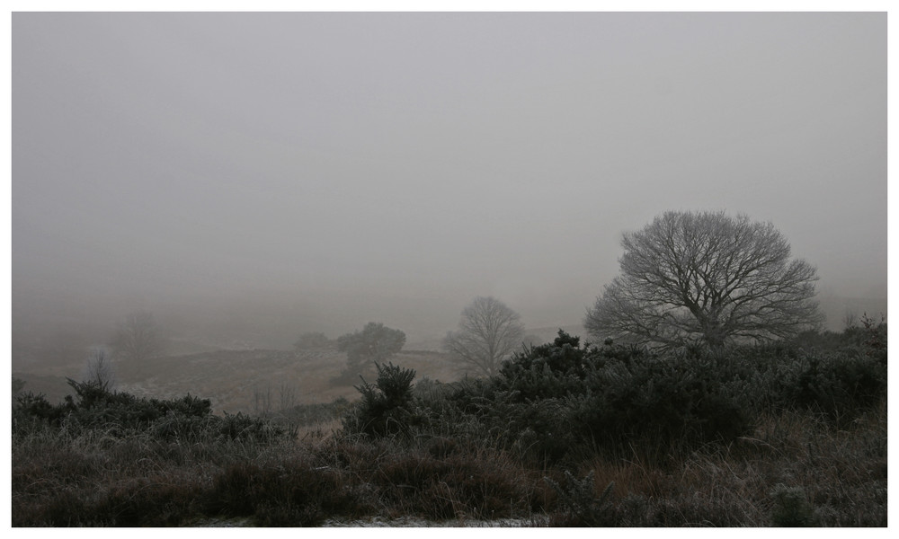 eisiger Nebel