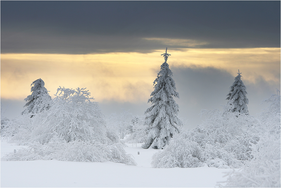 ~ eisiger Nebel ~