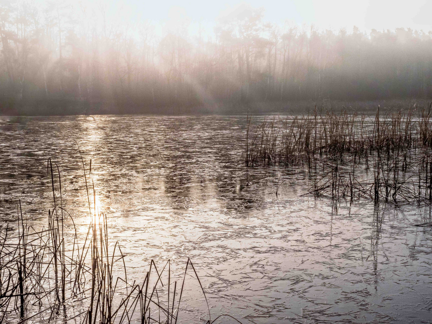 Eisiger Sonnenaufgang