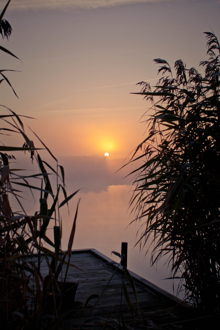 Eisiger Sonnenaufgang im Alten Land