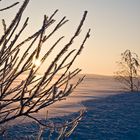 Eisiger Sonnenuntergang