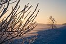 Eisiger Sonnenuntergang von fehsti 