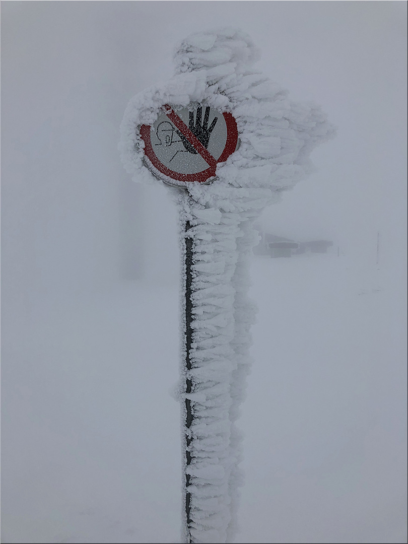 Eisiger Winter auf dem Feldberg