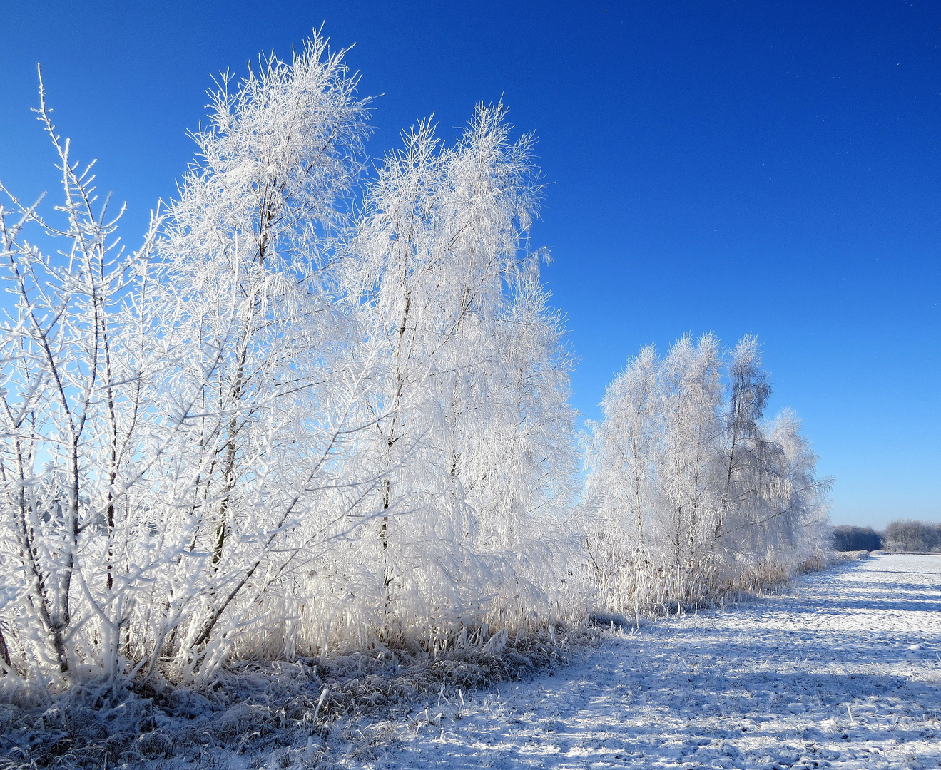 Eisiger Winter morgens