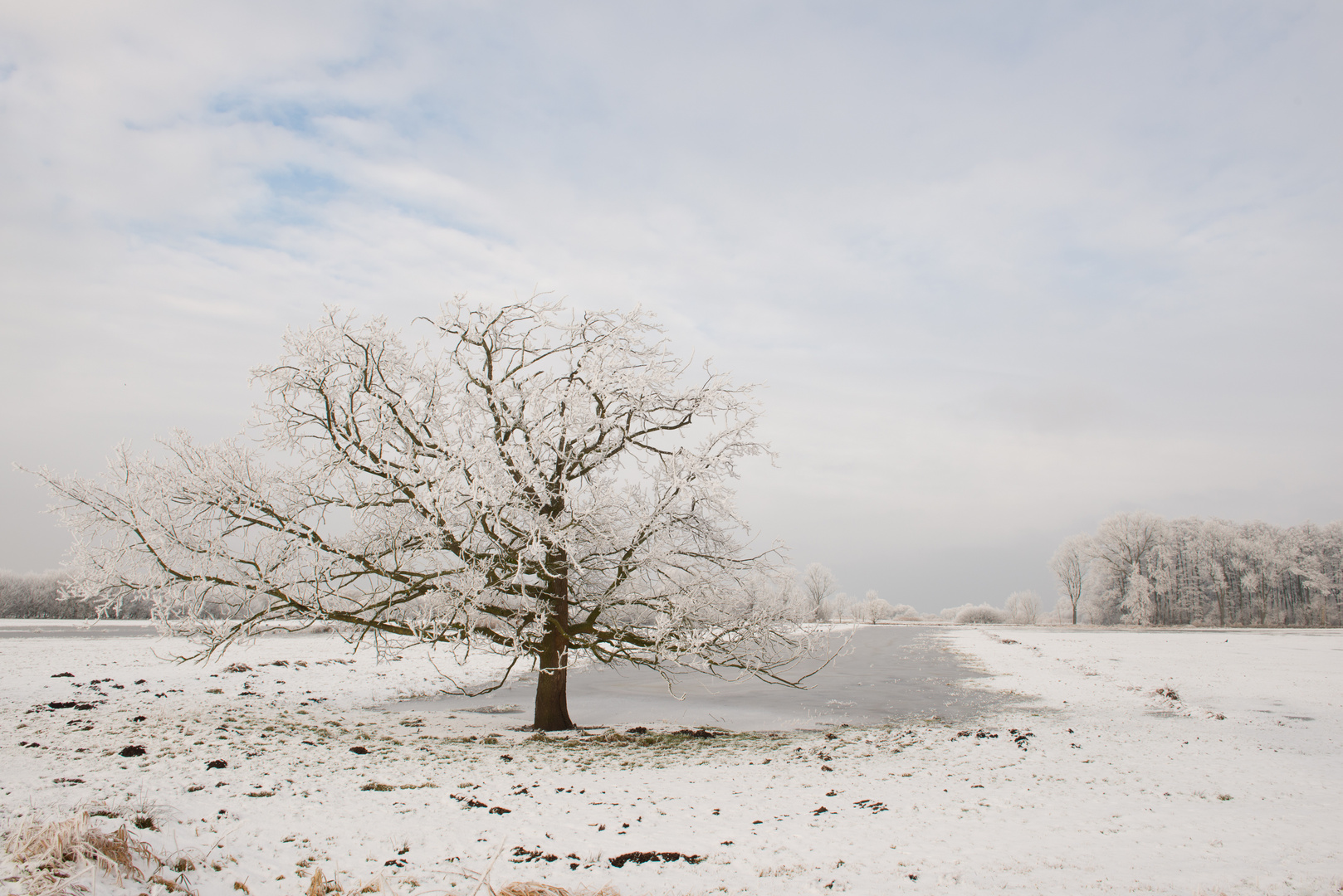 Eisiger Wintermorgen