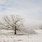 Eisiger Wintermorgen