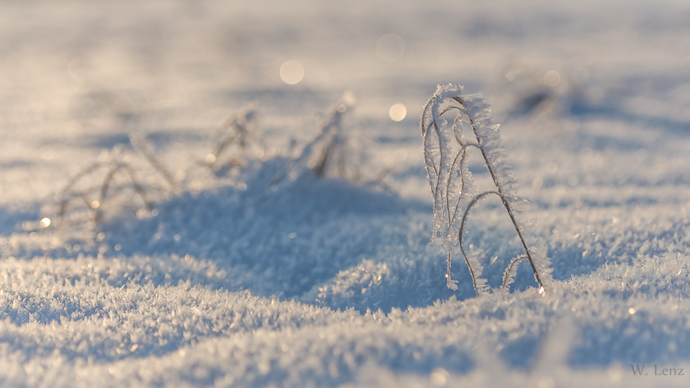 Eisiger Wintermorgen