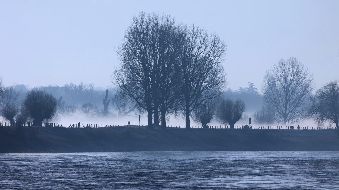 Eisiger Wintermorgen