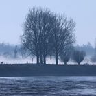 Eisiger Wintermorgen