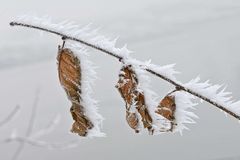 eisiger Wintermorgen