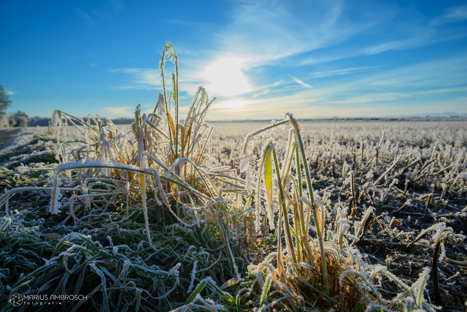 Eisiger Wintermorgen