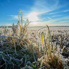 Eisiger Wintermorgen