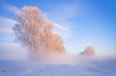 Eisiger Wintermorgen