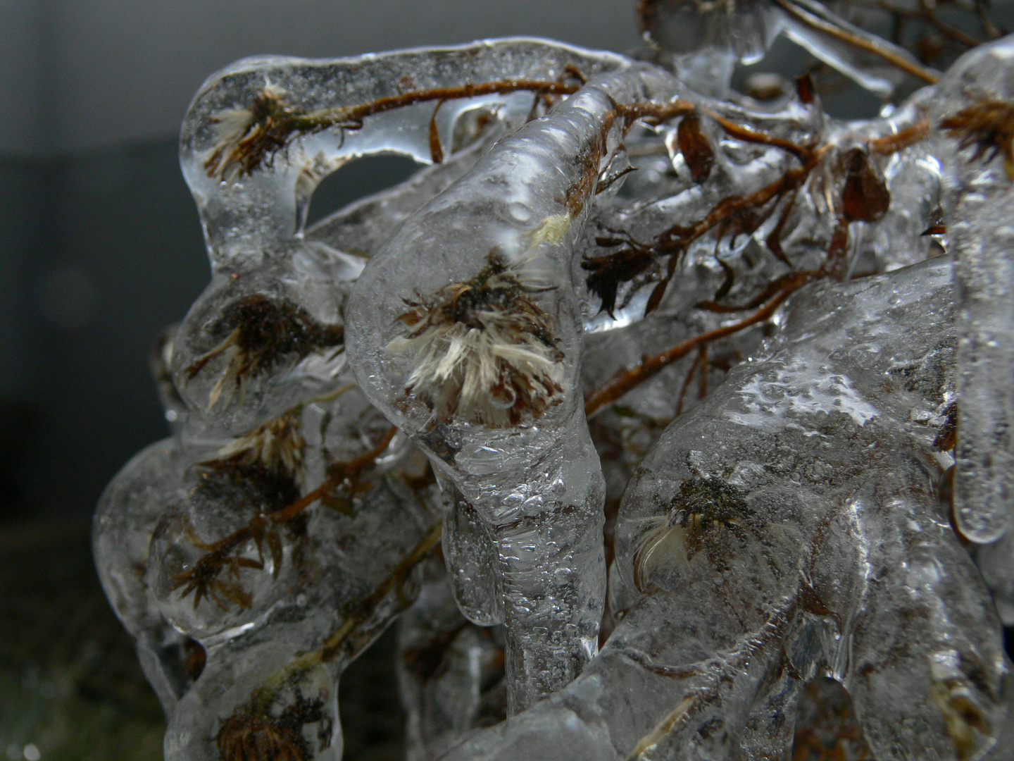 Eisiger Winterschlaf