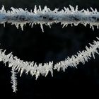 Eisiger Winterschmuck