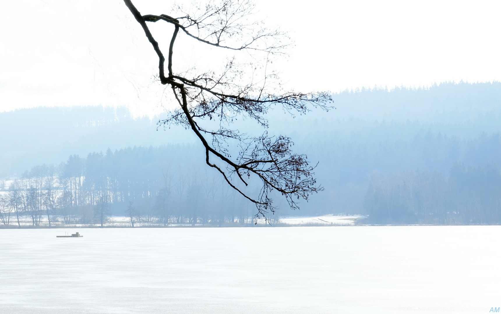 Eisiges Blau am Illmensee