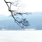 Eisiges Blau am Illmensee