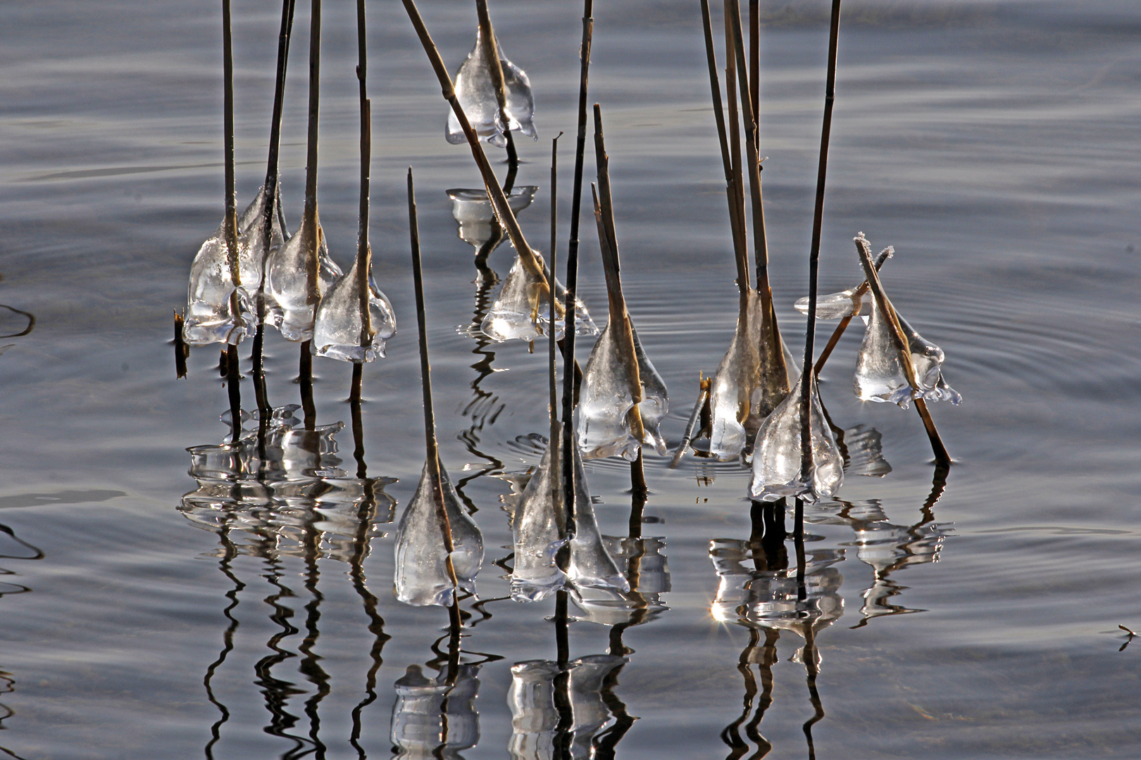 Eisiges Glockenkonzert ertönte am Ufer