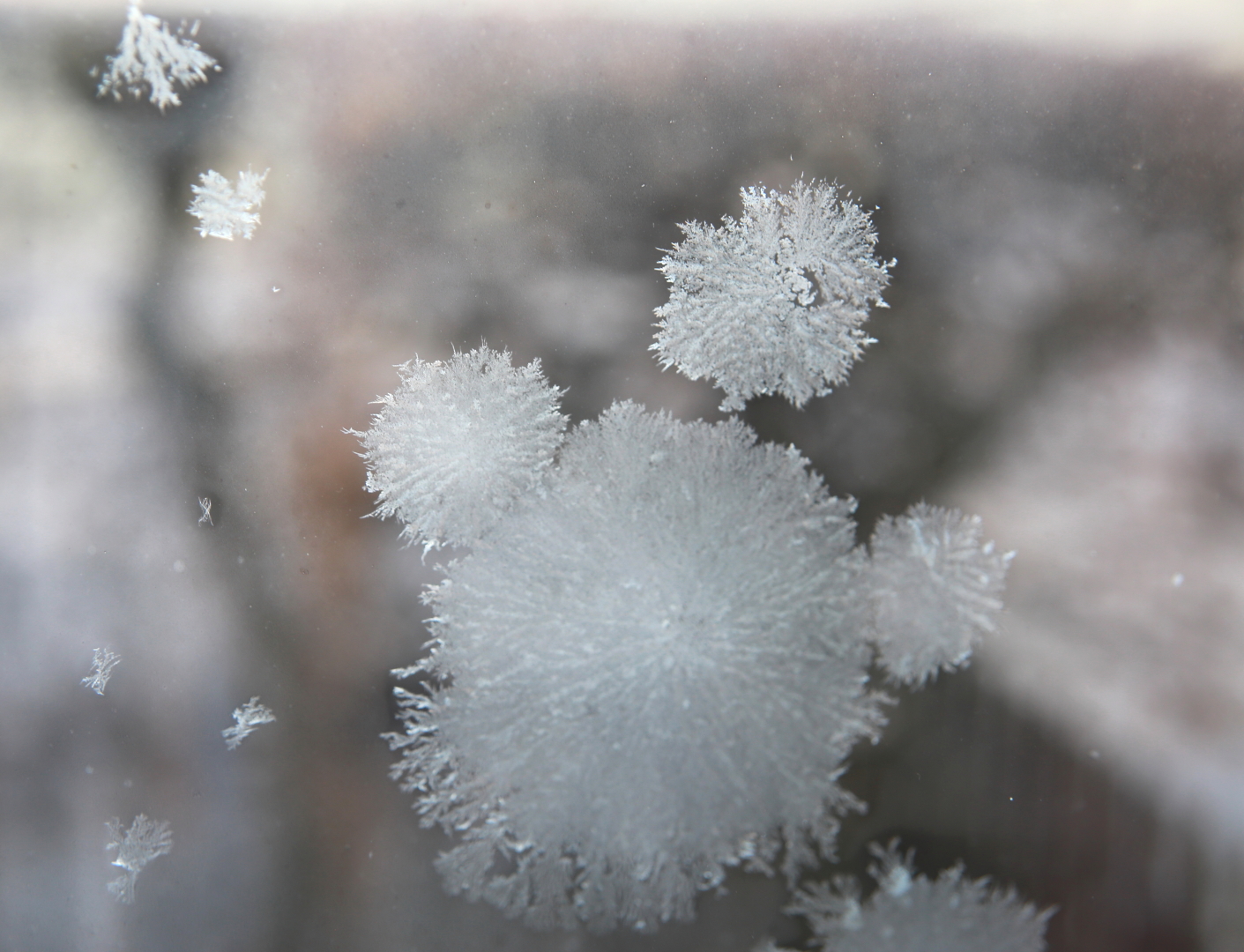 Eisiges Männchen am Fenster