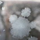 Eisiges Männchen am Fenster