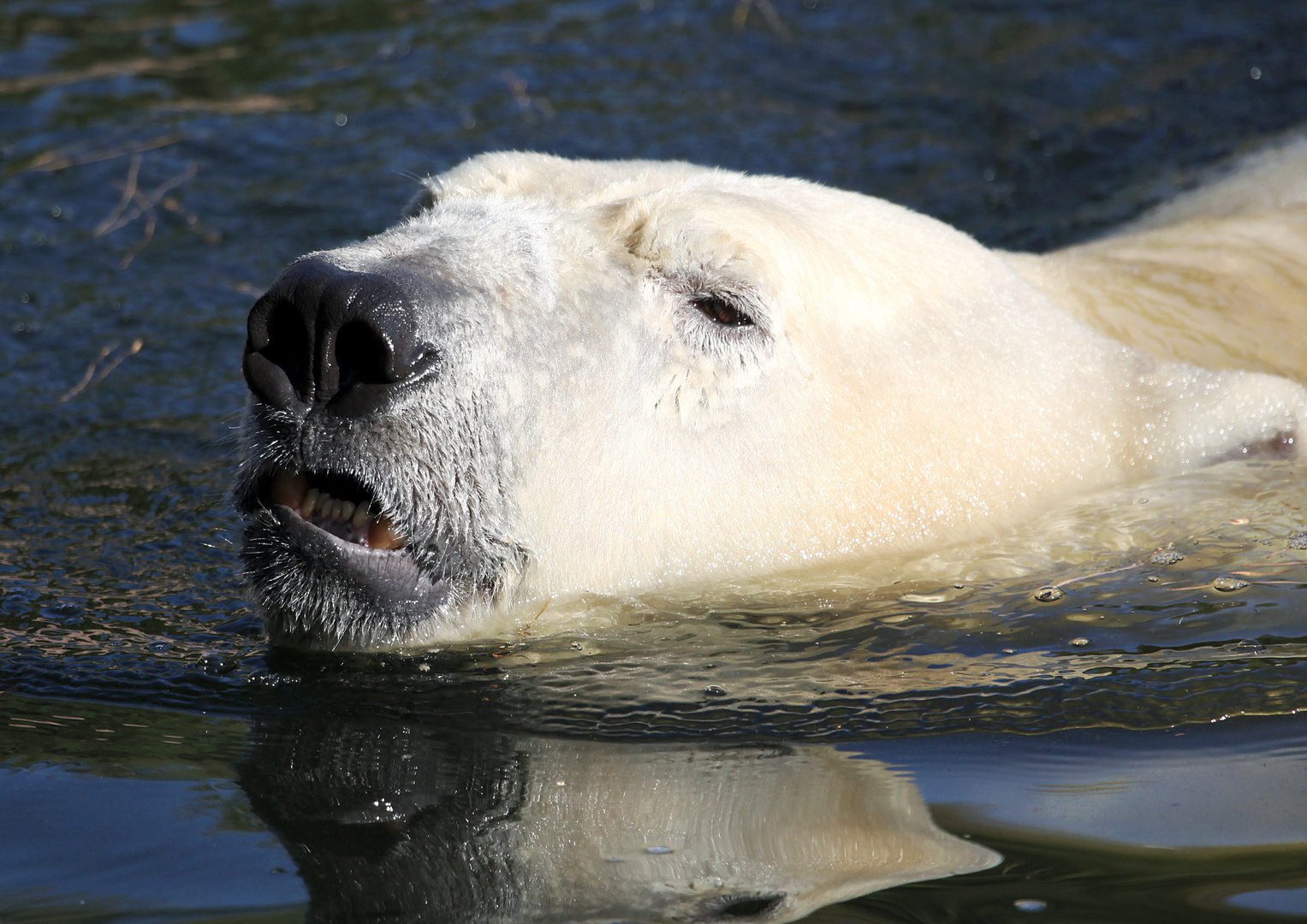 Eis(iges) Wasser