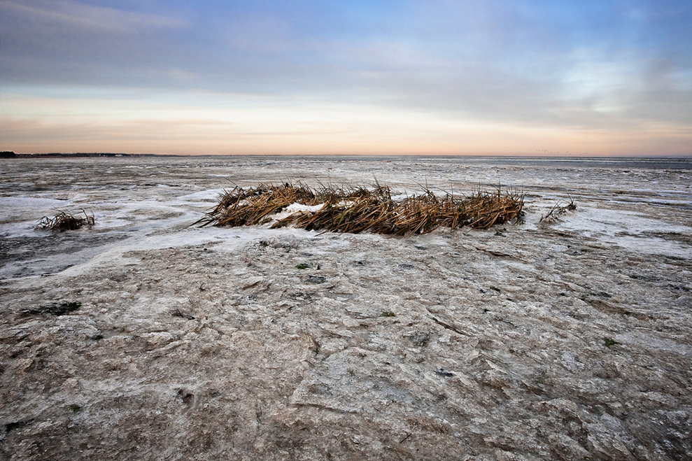 Eisiges Wattenmeer