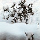 eisiges Winterwetter über Thüringen