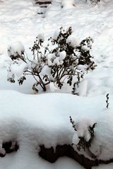 eisiges Winterwetter über Thüringen