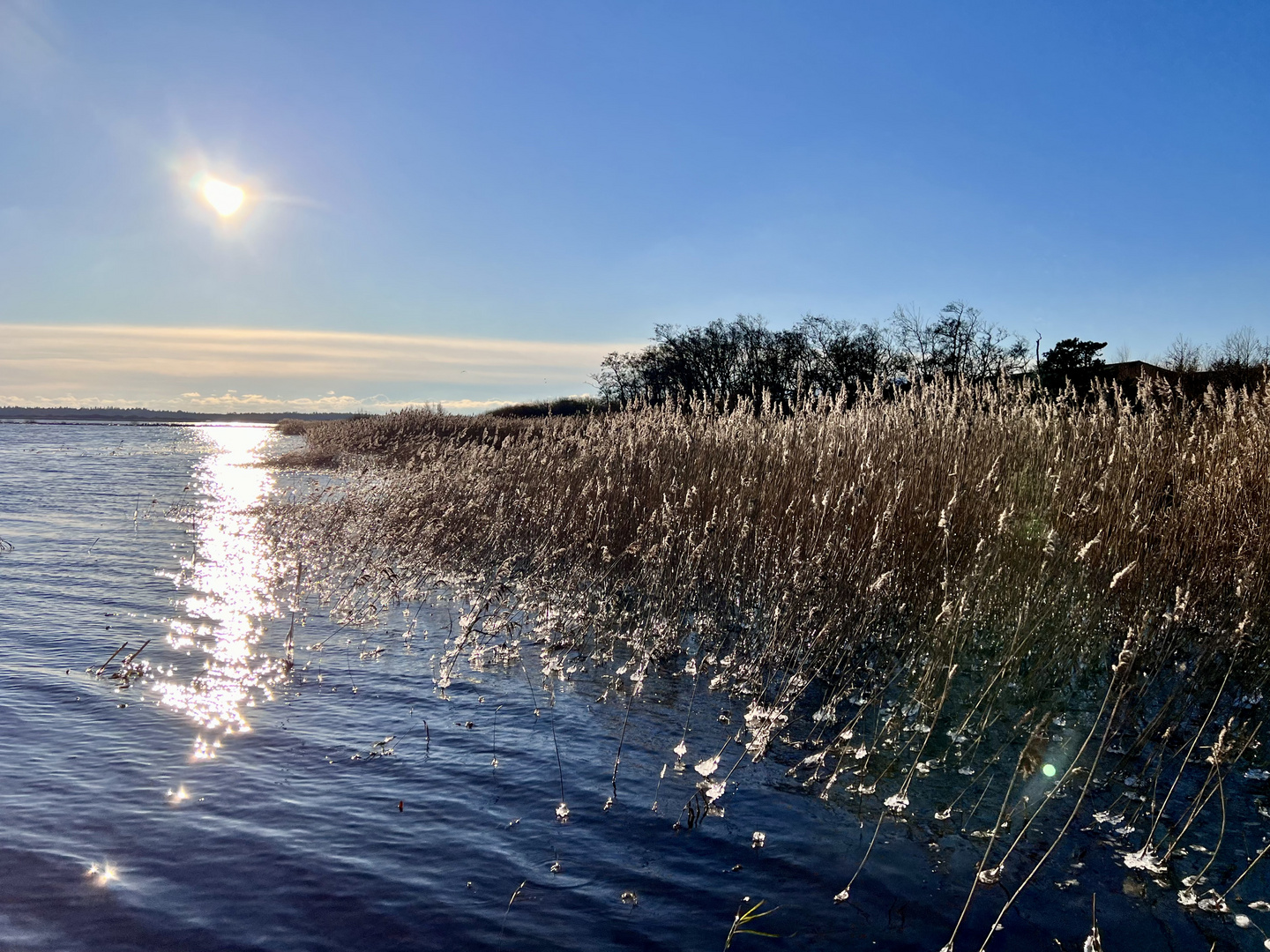 Eisigkalt am Filsö-See in Dänemark