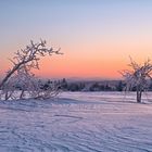 eisigkalter Sonnenaufgang 