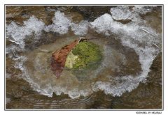 eisinsel im waldbach