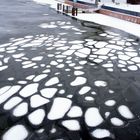 Eisinseln am Luisenhain