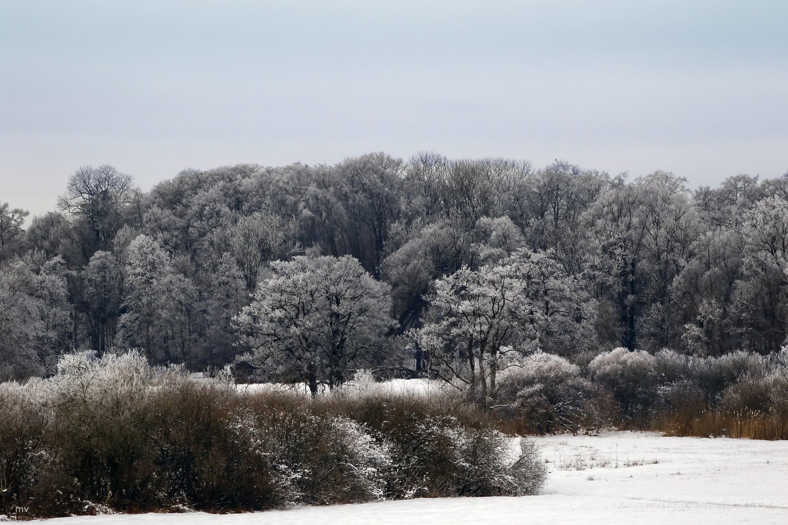 Eiskalt