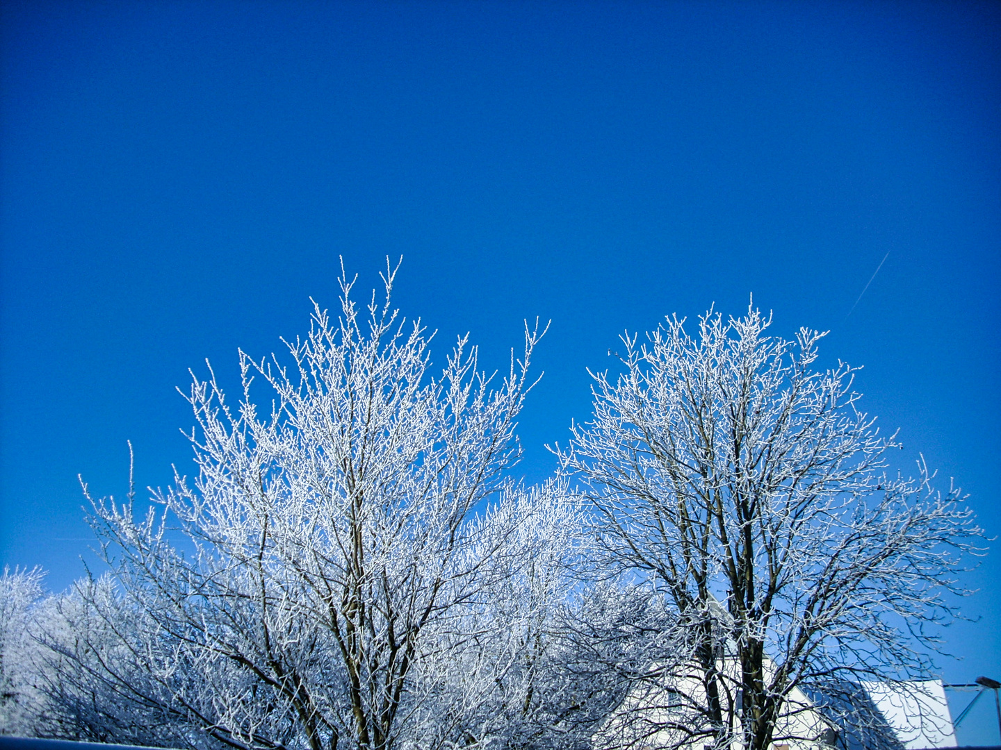 Eiskalt