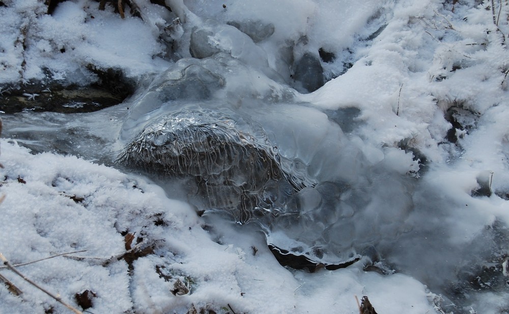 Eiskalt