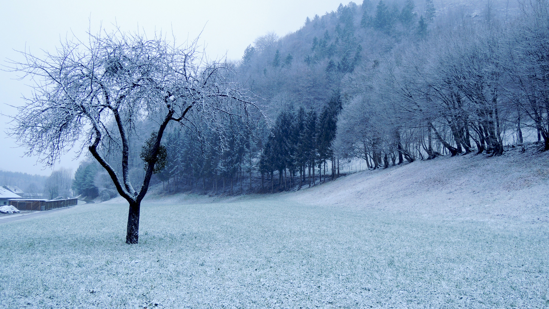 Eiskalt