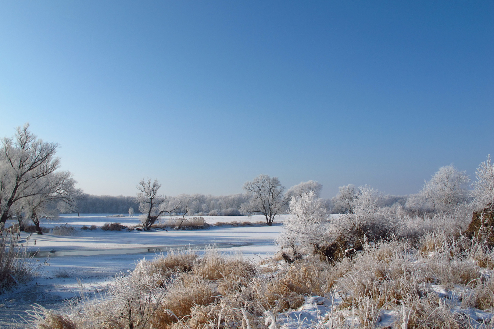 eiskalt