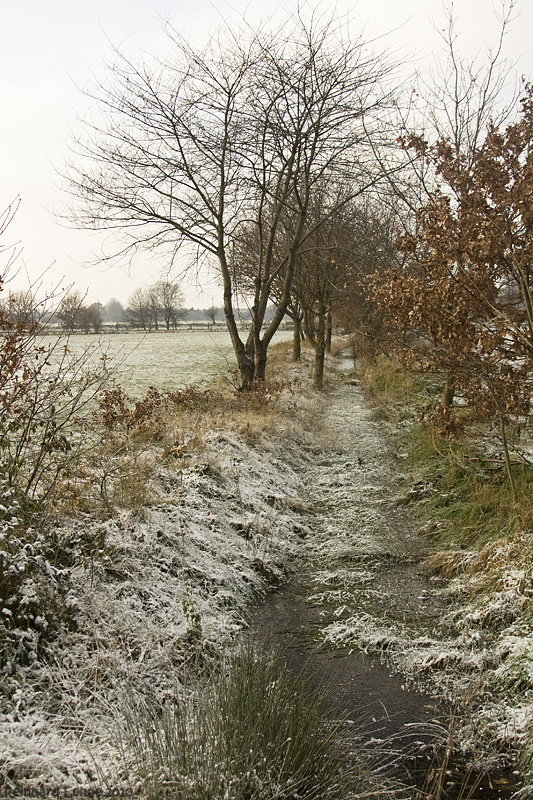 Eiskalt......