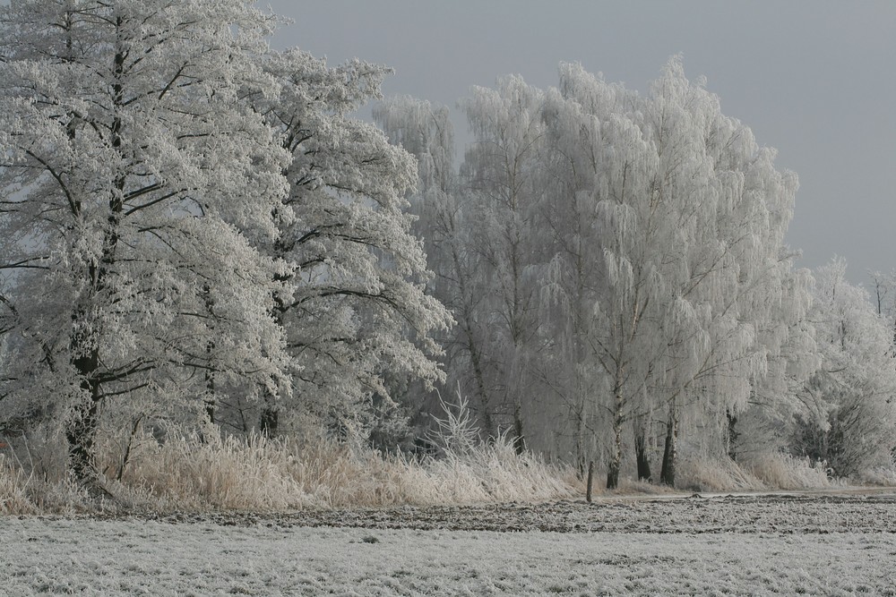 Eiskalt...