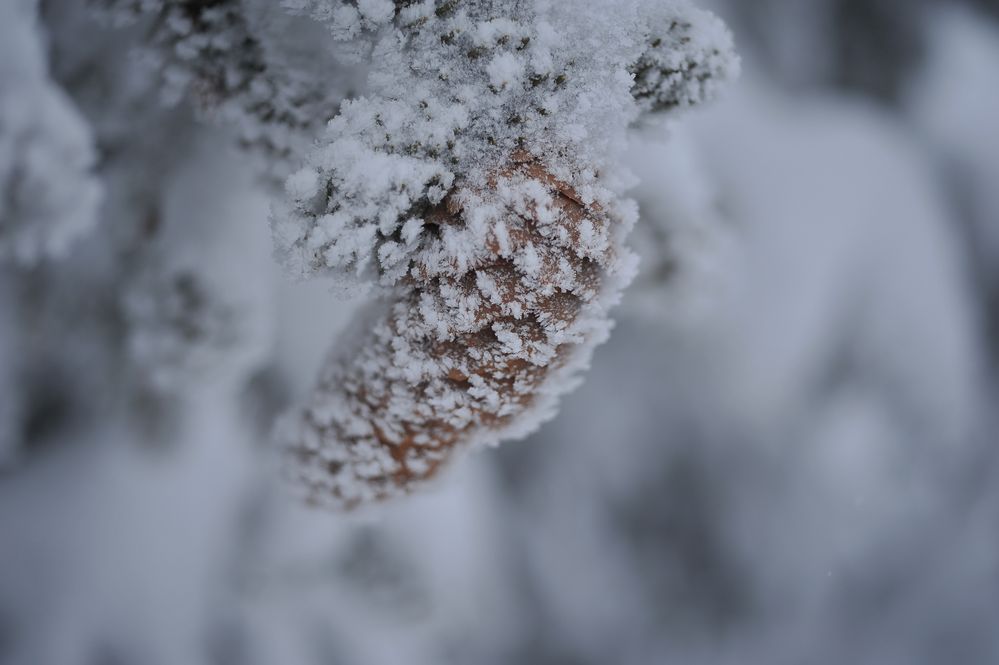 Eiskalt.