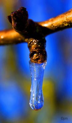 Eisdetails Bilder & Fotos