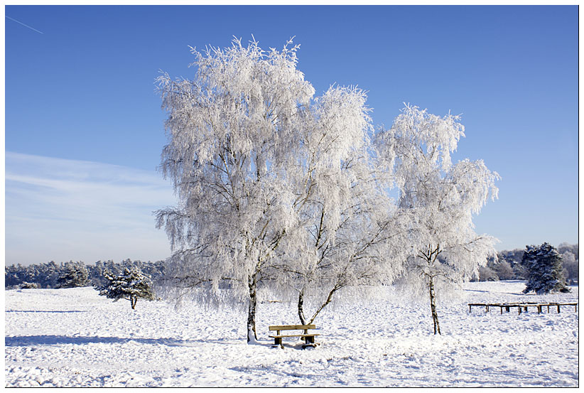 Eiskalt