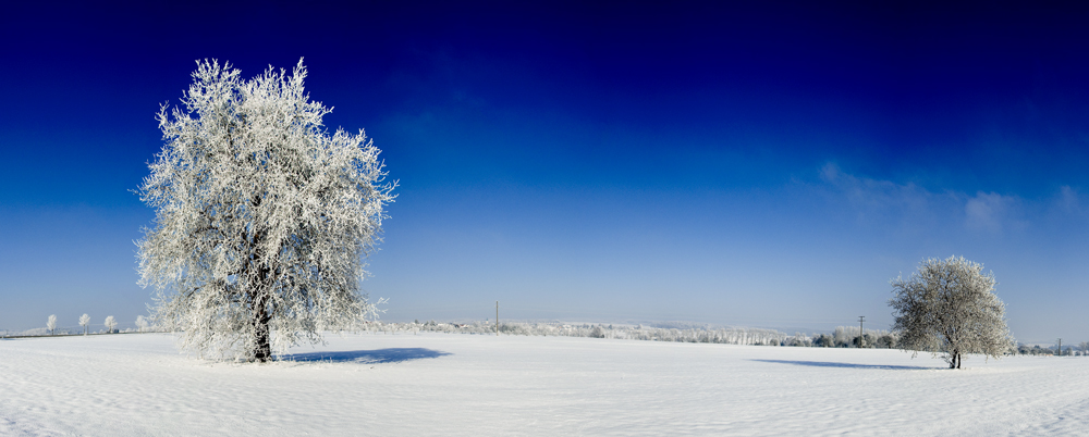 Eiskalt als Panorama