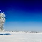 Eiskalt als Panorama